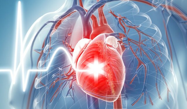 Desarrollo de células cardiacas en biorreactor