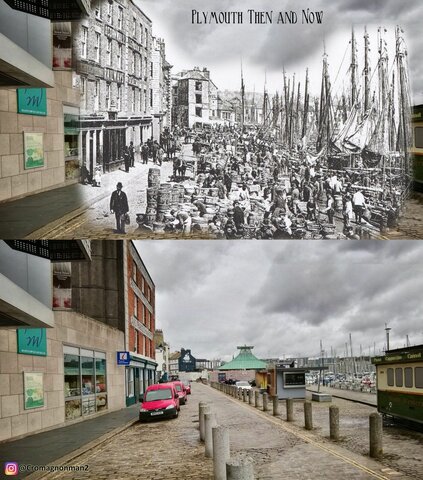 THE PILGRIMS SETTLED IN PLYMOUTH