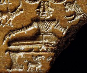 YOGA 10.000 Y 5.000 a/c