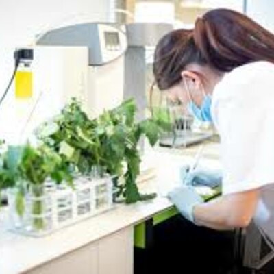 Timeline: HISTORIA DE LA FITOPATOLOGIA