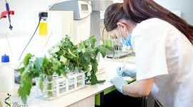 Timeline: HISTORIA DE LA FITOPATOLOGIA