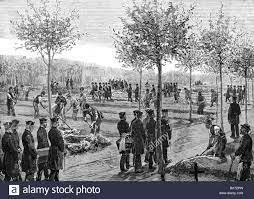 CAUSAS  DE LAS ENFERMEDADES