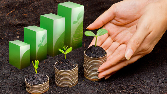 concepto de “cosecha sustentable” o “extracción sustentable”