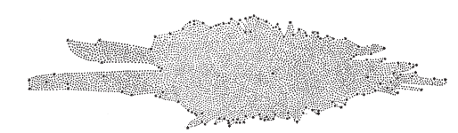 Se describe la forma de la vía láctea