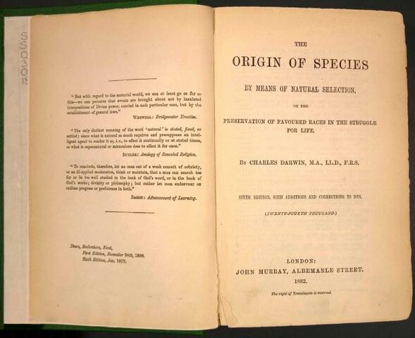 La Teoría De La Evolución