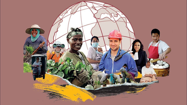 Organización Internacional del Trabajo (OIT)