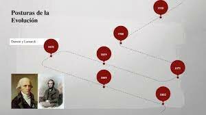 Posturas de la evolución.