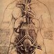 Leonardo da vinci, drawing of a woman's torso