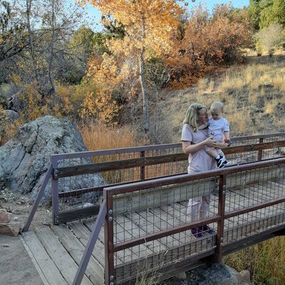 Timeline: SMART Home Goal - Take Trip with me and my wife only, and one trip with our little family of three