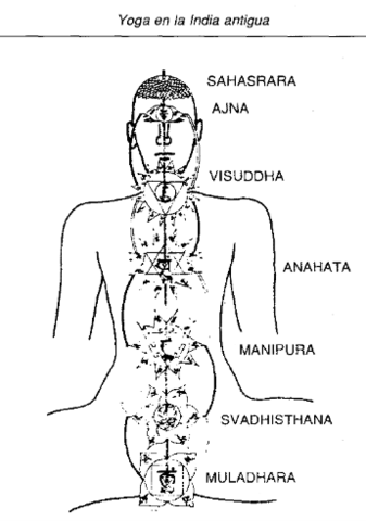 El Yoga Terapias Complementarias