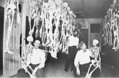 Terapias Complementarias