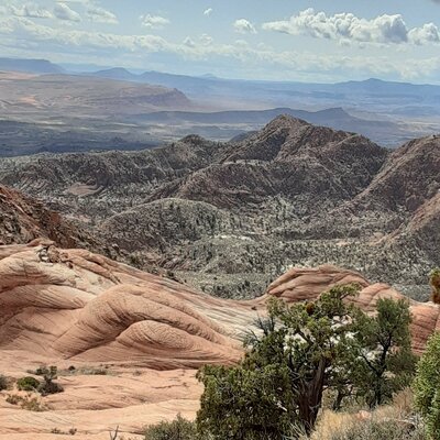 Timeline: Community Goal to be part of Washington County Search and Rescue this Year