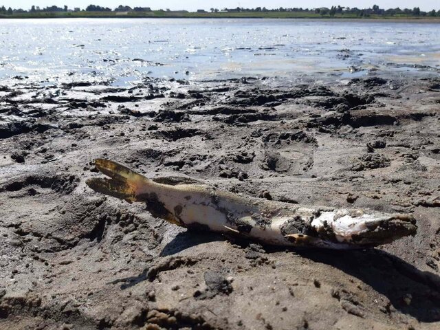 Екологічна катастрофа в Керченській протоці