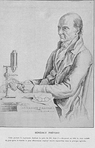 Isaac-Bénédict Prévost