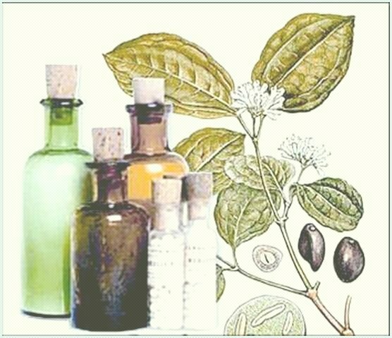 Homeopática Medicinas Alternativas