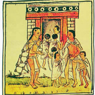 Timeline: Desarrollo histórico de la familia