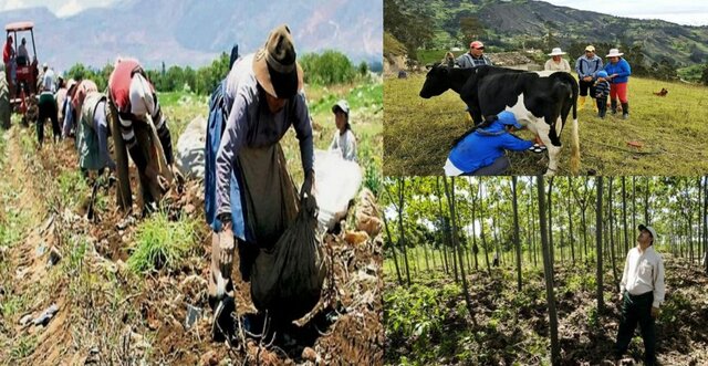 Función de la Logística.