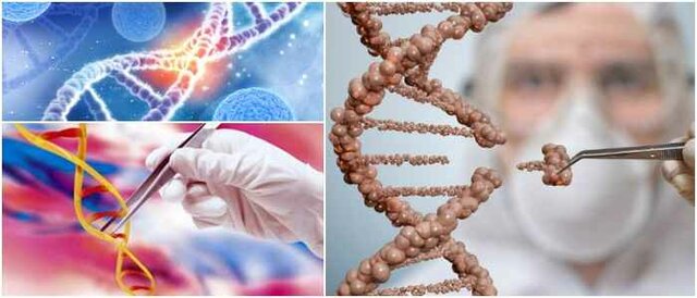 Movilidad o transposición genética