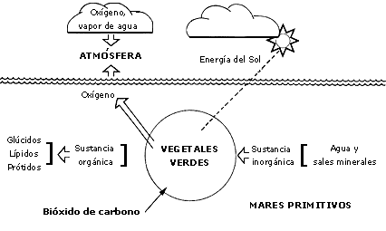"Teoría Fisicoquímica del Origen de la Vida"