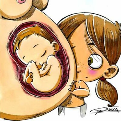 Timeline: DESARROLLO PRENATAL
