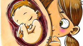 Timeline: DESARROLLO PRENATAL
