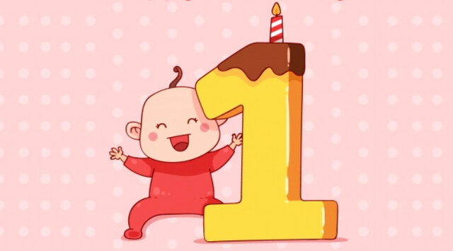 Mi primer año de vida