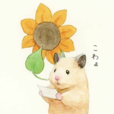 Timeline: English presentation "Used To"