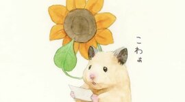 Timeline: English presentation "Used To"