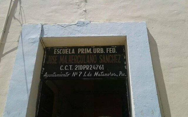 Ingrese a la escuela primaria