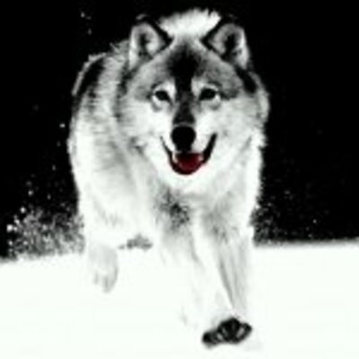 Timeline: April Bostic Moments in Time