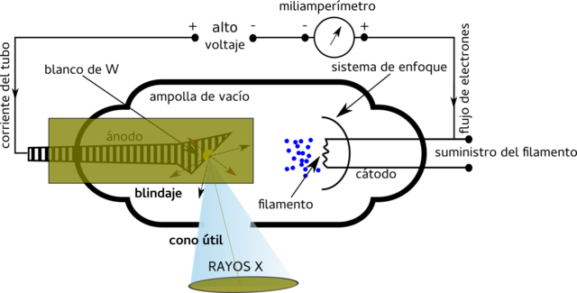 Evento 1- Estructura del tubo de rayos X