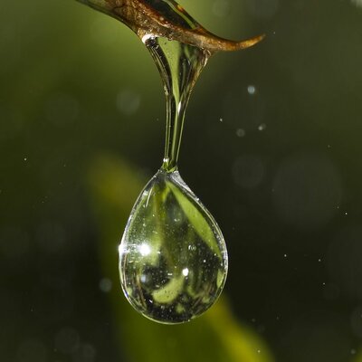 Timeline: Conquista de Cortés y Nuño Beltrán