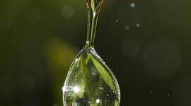 Timeline: Conquista de Cortés y Nuño Beltrán