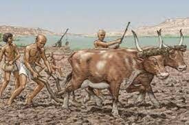 La agricultura y el arado