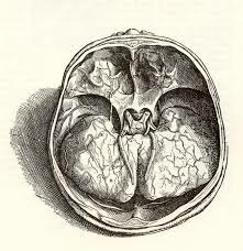 AÑOS 1300-1600 LA MEDICINA DEL RENACIMIENTO