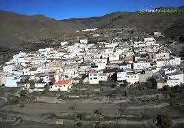 organización   social