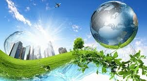 Organizacion de la naturaleza