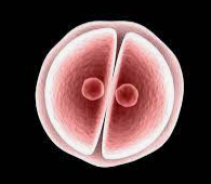 4 horas después .....