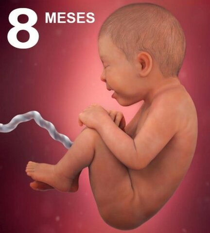 Desarrollo Mes a Mes