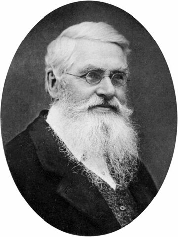 Alfredd Russel Wallace