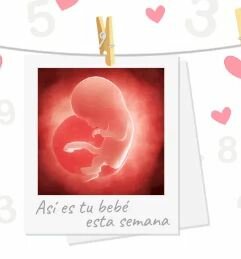 Semana 12
