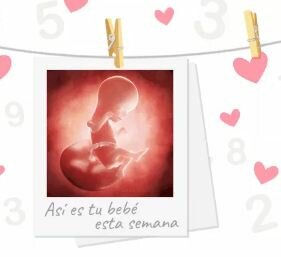 Semana 16
