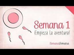 SEMANA 1