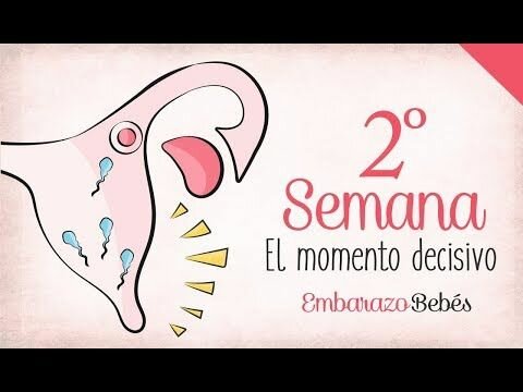 SEMANA 2