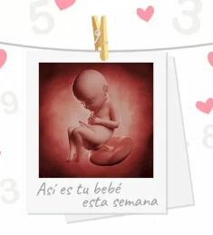 Semana 32