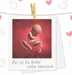 Semana 36