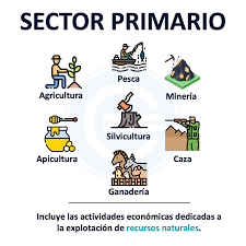 Sector primario