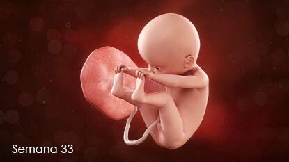 SEMANA 33