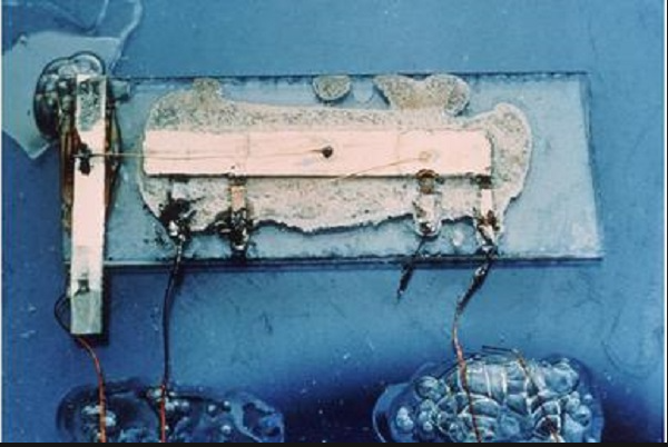 Jack Kilby and Robert Noyce unveil the integrated circuit the computer chip