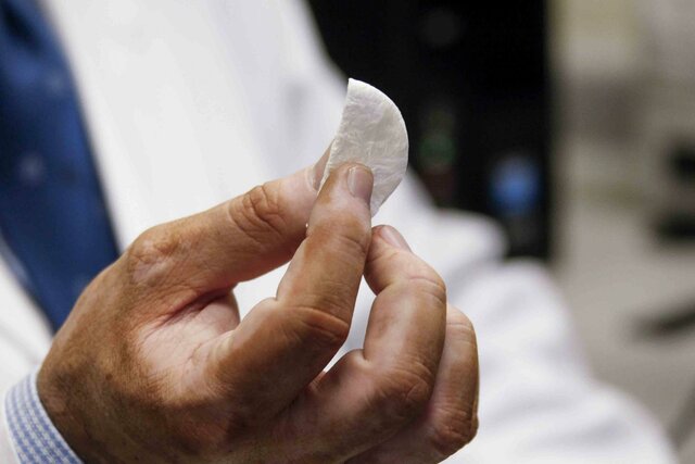 Regeneran huesos con cáscara de cangrejo.